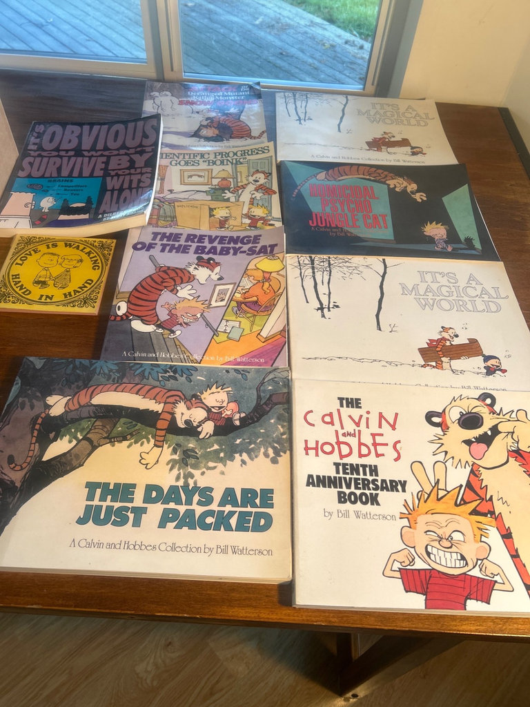 Calvin and Hobbes comic book collection - image 1 of 10
