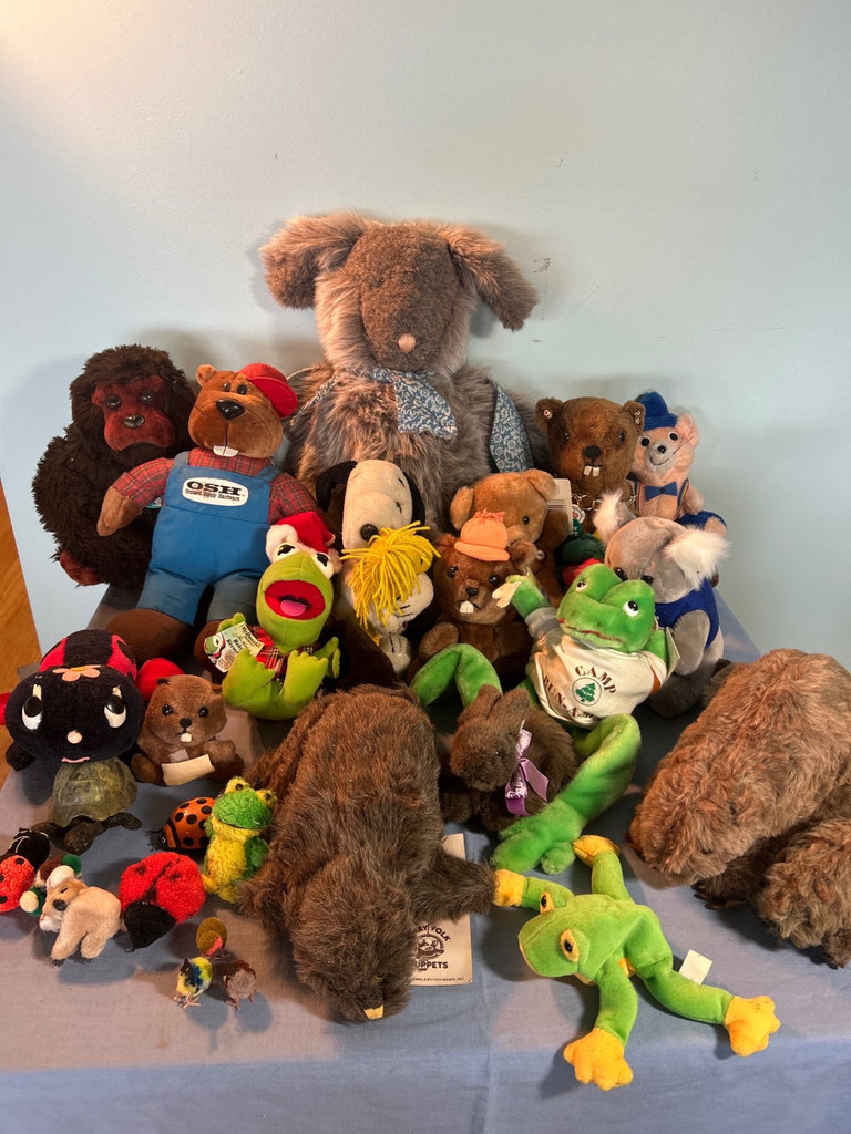 Lot of Stuffies - image 1 of 9