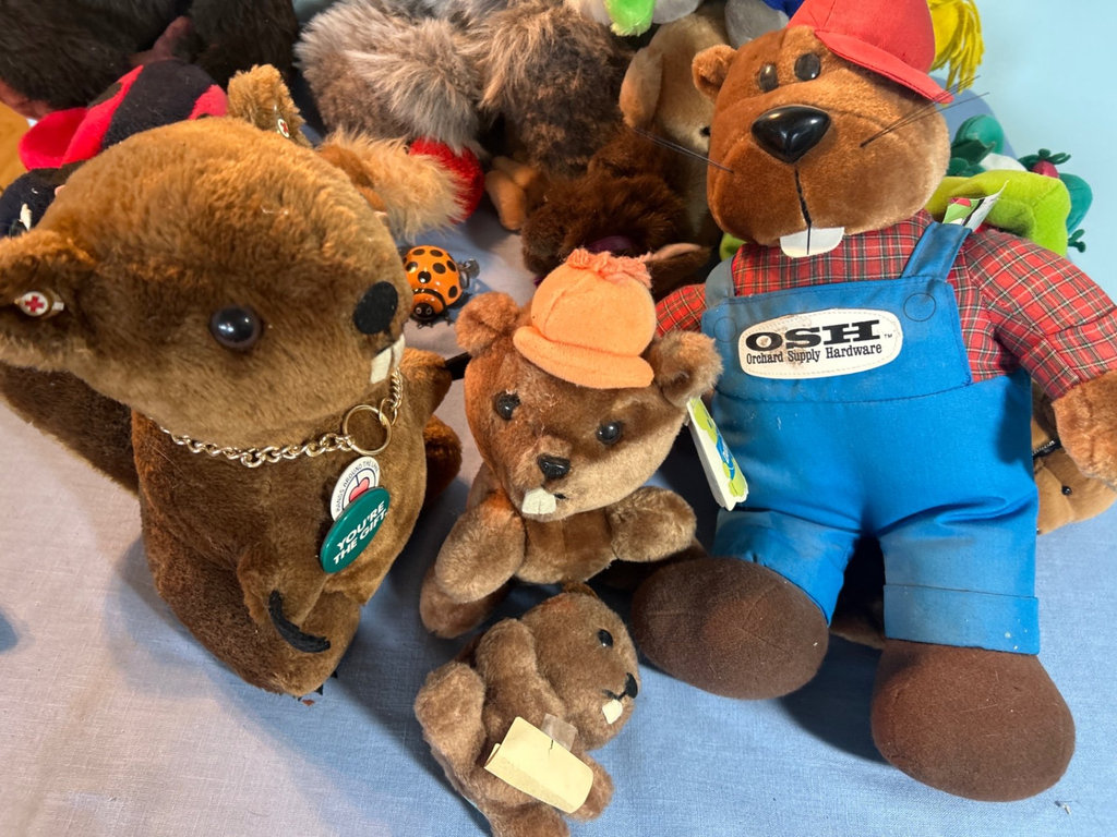 Lot of Stuffies - image 5 of 9
