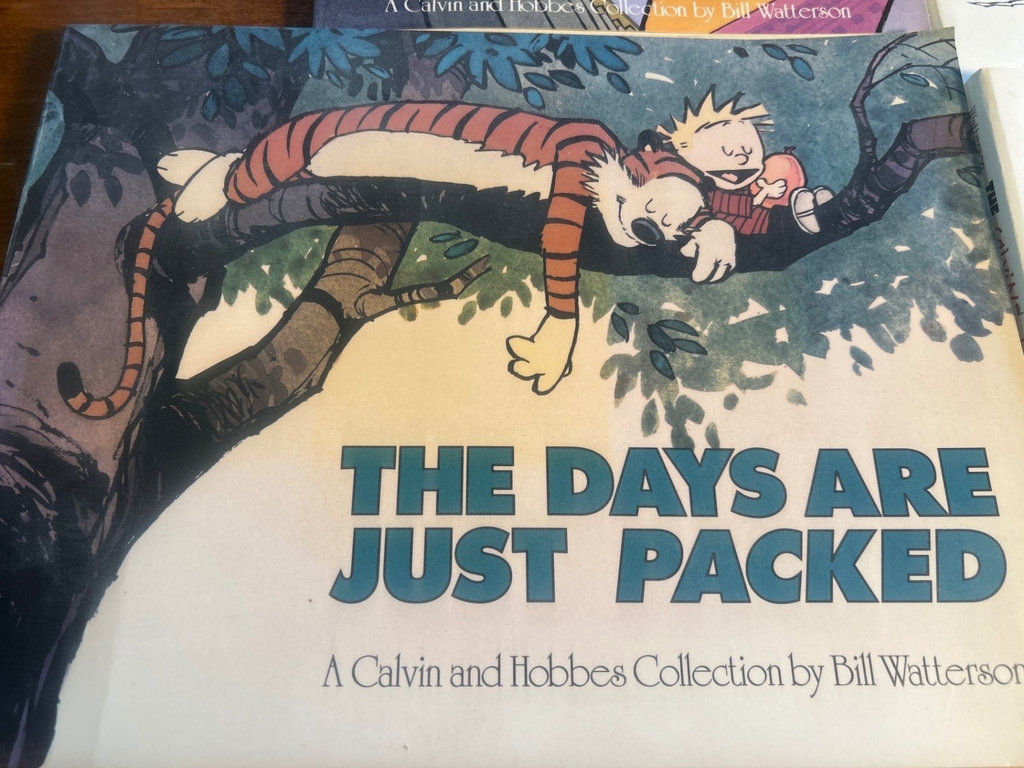 Calvin and Hobbes comic book collection - image 5 of 10