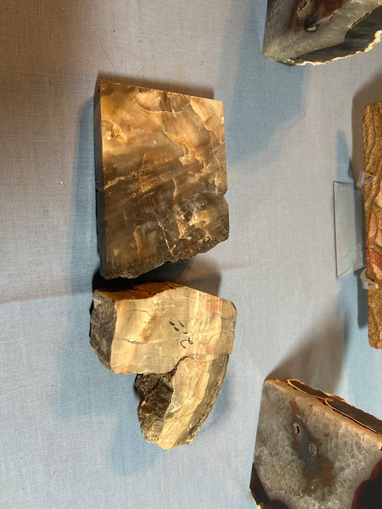Geodes and Agate Slices Collection - image 5 of 6