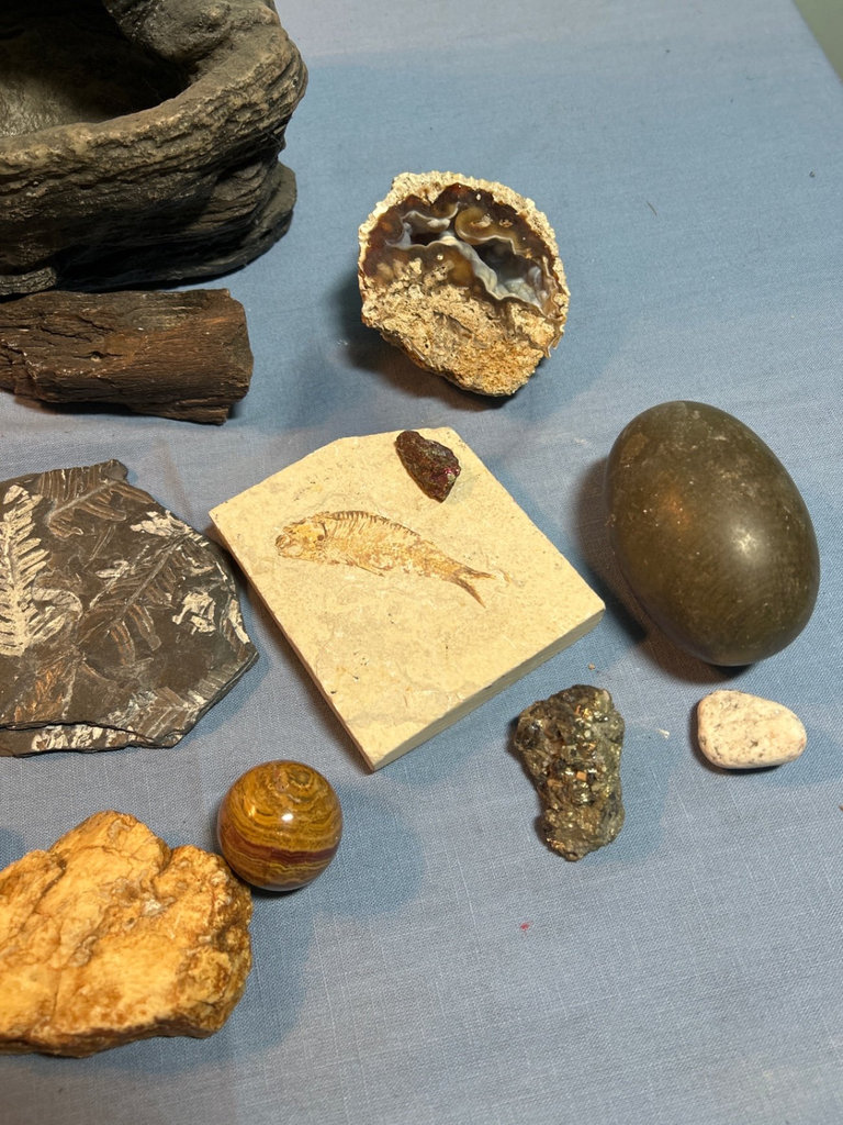 Rock and mineral fossil and geode collection, Rock Like Fountain - image 1 of 7