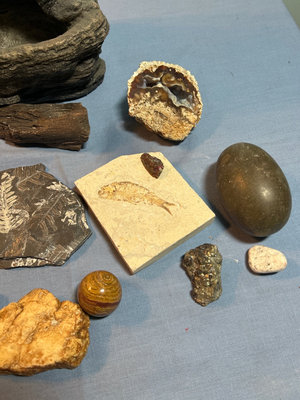 Rock and mineral fossil and geode collection, Rock Like Fountain - Image 1 of 7