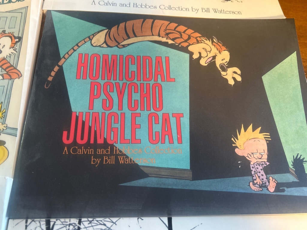 Calvin and Hobbes comic book collection - image 3 of 10