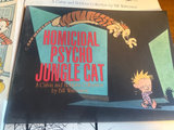 Calvin and Hobbes comic book collection - thumbnail 3 of 10