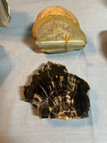 Geodes and Agate Slices Collection - thumbnail 3 of 6