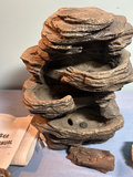 Rock and mineral fossil and geode collection, Rock Like Fountain - thumbnail 3 of 7