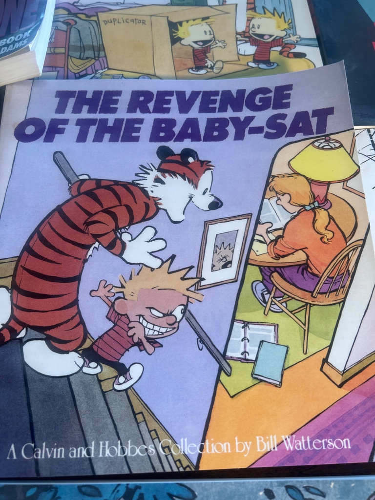 Calvin and Hobbes comic book collection - image 6 of 10