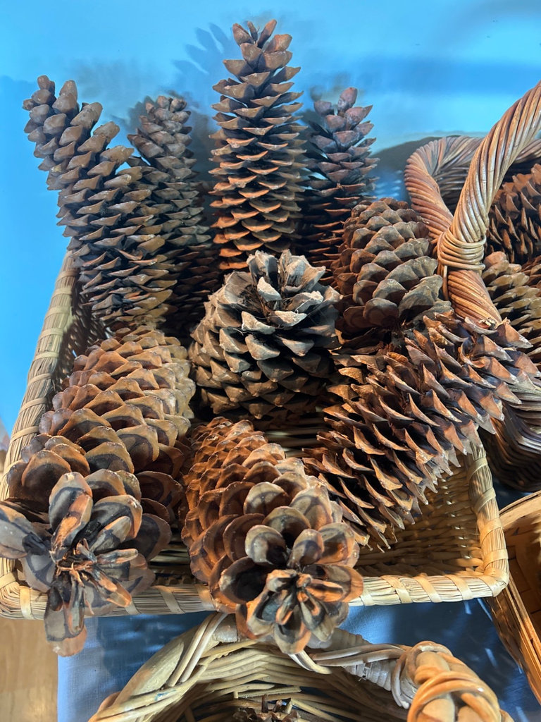 Baskets and Pine Cones - image 2 of 6