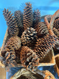 Baskets and Pine Cones - thumbnail 2 of 6
