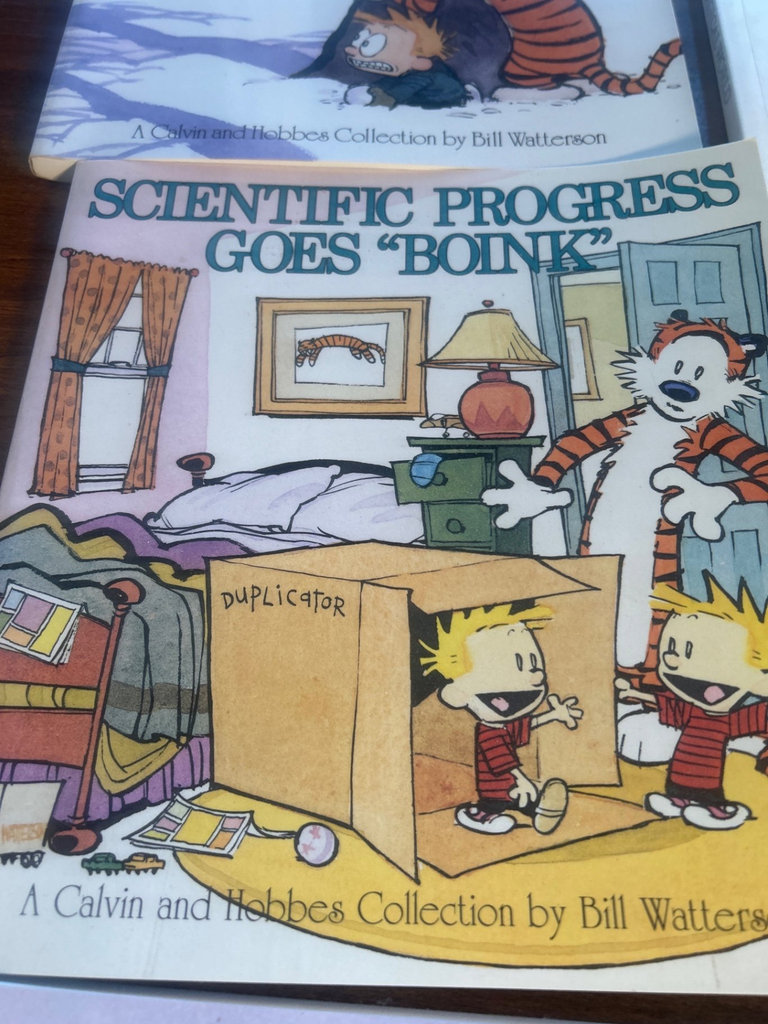 Calvin and Hobbes comic book collection - image 7 of 10