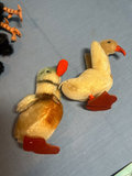 15 Steiff Small Collectible Animals - thumbnail 11 of 13