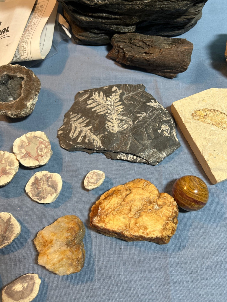 Rock and mineral fossil and geode collection, Rock Like Fountain - image 5 of 7