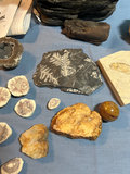 Rock and mineral fossil and geode collection, Rock Like Fountain - thumbnail 5 of 7