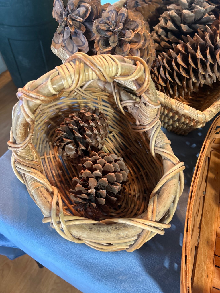 Baskets and Pine Cones - image 4 of 6