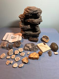 Rock and mineral fossil and geode collection, Rock Like Fountain - thumbnail 2 of 7