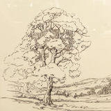 Pastoral Pen and Ink Framed Print - thumbnail 2 of 7