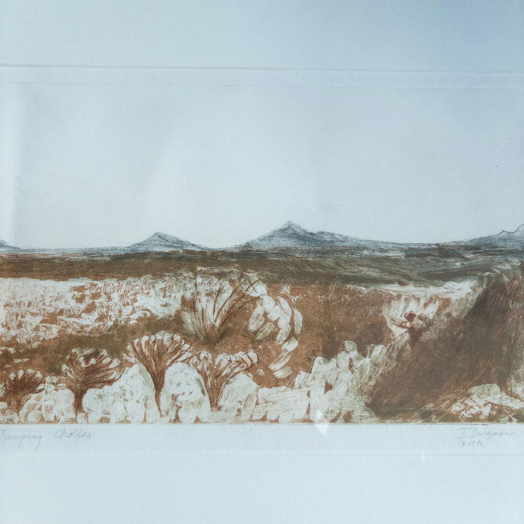 Judy Bergman Etching "Jumping Chollas" 1991 - image 4 of 12