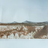Judy Bergman Etching "Jumping Chollas" 1991 - thumbnail 4 of 12