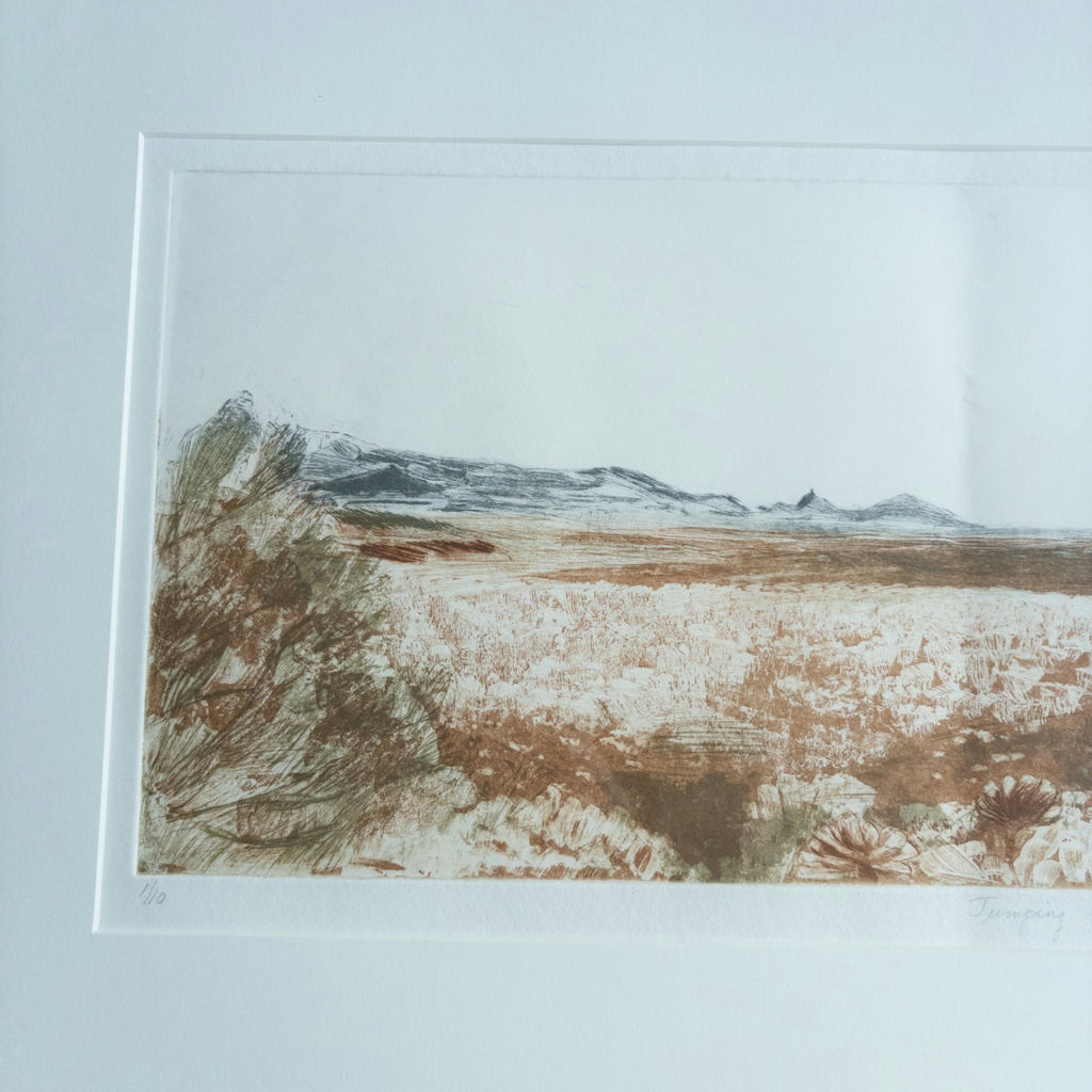 Judy Bergman Etching "Jumping Chollas" 1991 - image 3 of 12