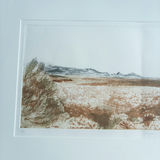 Judy Bergman Etching "Jumping Chollas" 1991 - thumbnail 3 of 12