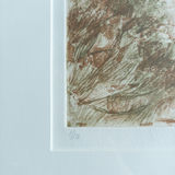 Judy Bergman Etching "Jumping Chollas" 1991 - thumbnail 7 of 12