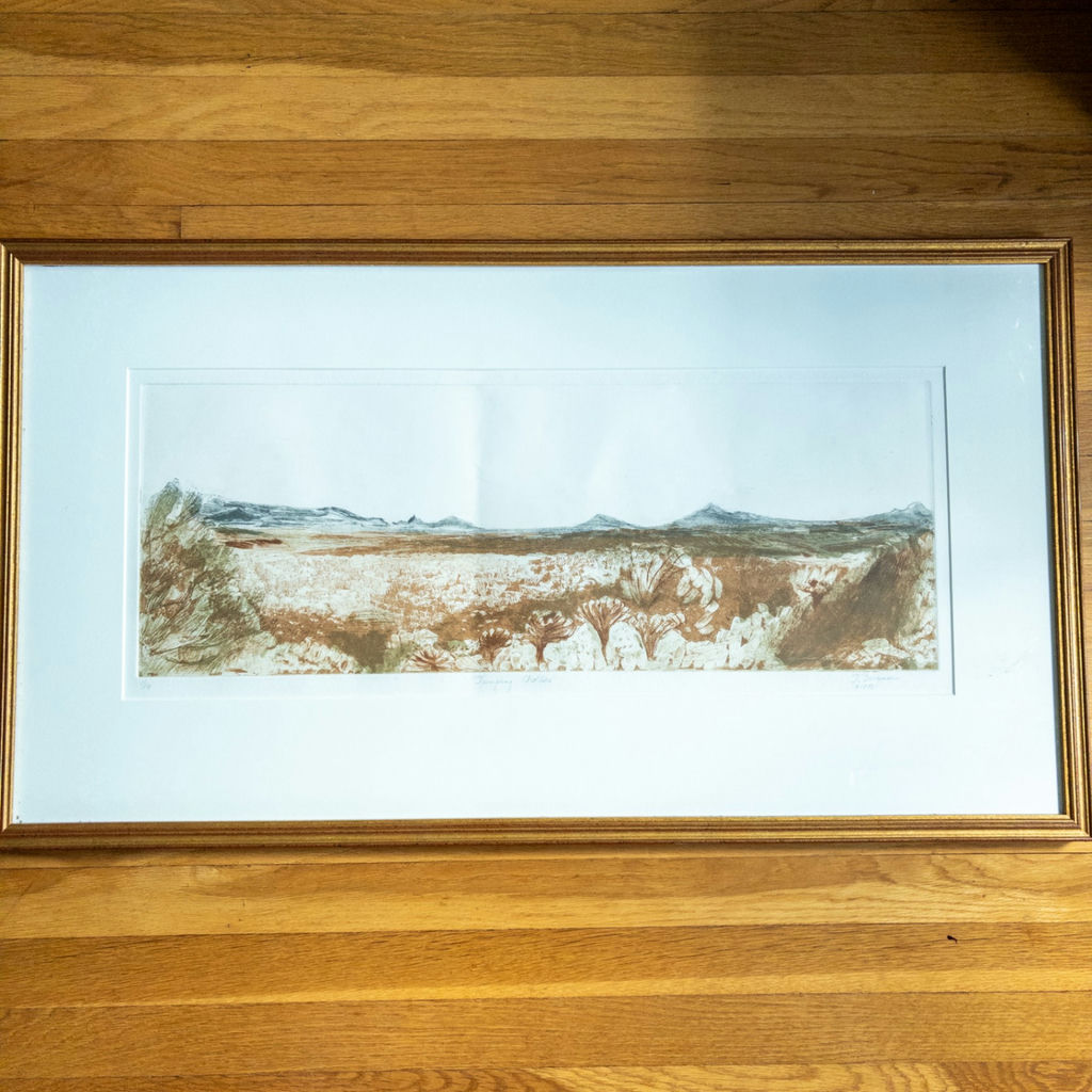 Judy Bergman Etching "Jumping Chollas" 1991 - image 1 of 12