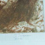Judy Bergman Etching "Jumping Chollas" 1991 - thumbnail 9 of 12