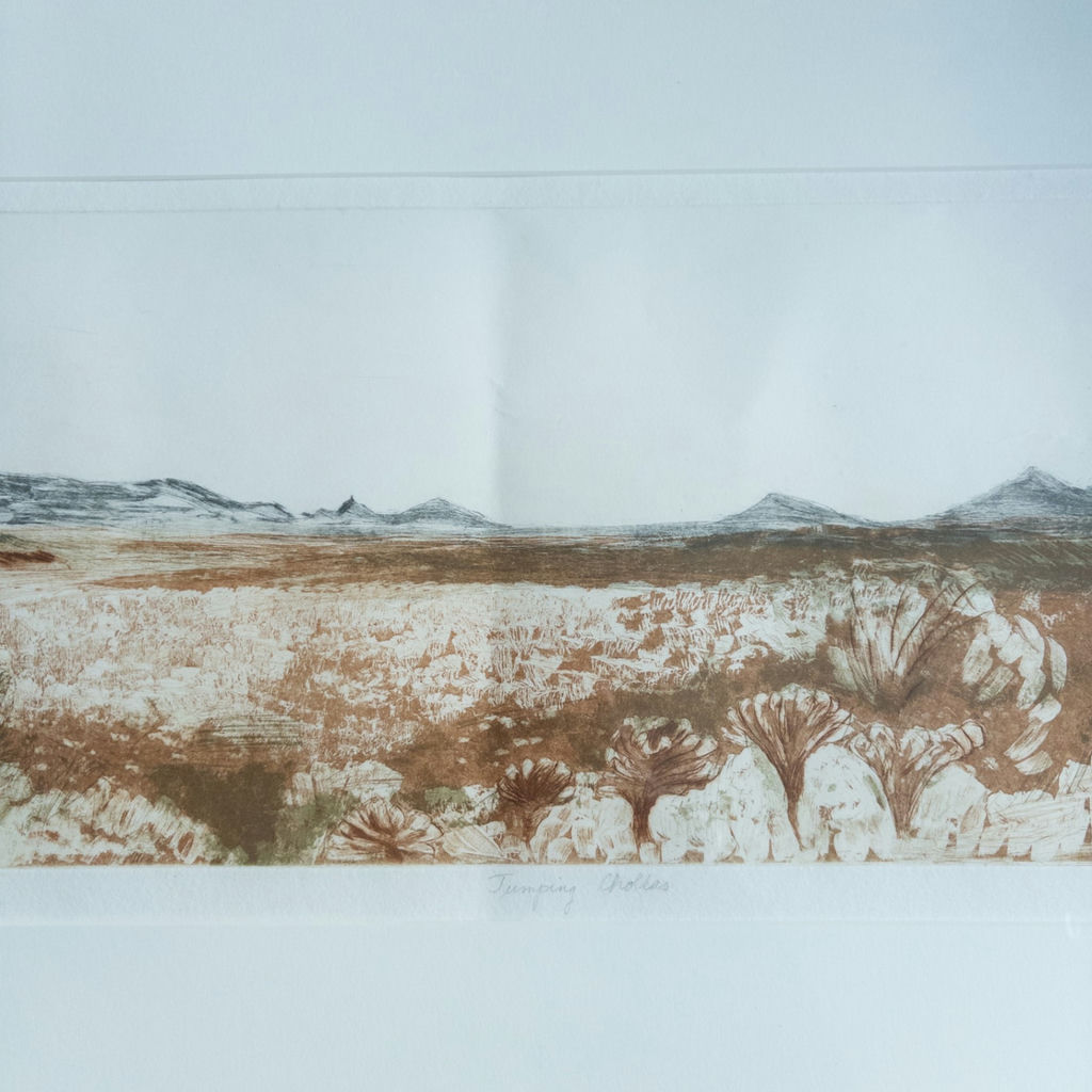 Judy Bergman Etching "Jumping Chollas" 1991 - image 5 of 12