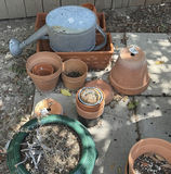 Assorted Ceramic Planters and Metal Watering Can - thumbnail 5 of 5