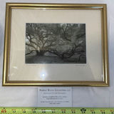 Harriet Blum Framed Fine Art Photograph and Green Glass Vase - thumbnail 2 of 6