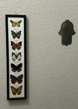Framed Butterfly and Moth Display Collection with Metal Hamsa Wall Decor - thumbnail 2 of 8