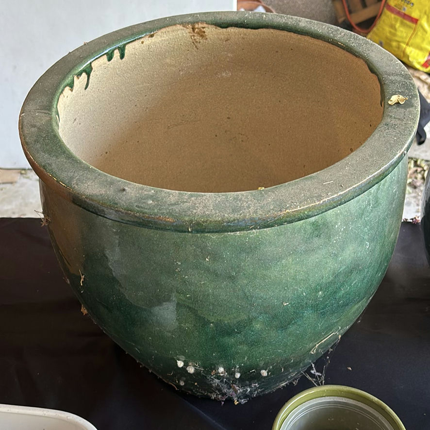 Assorted Ceramic and Terracotta Planters and Pots - image 5 of 11