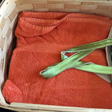 Mountain Trails Baskets Woven Storage Basket with Towels - thumbnail 5 of 10