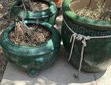 Assorted Ceramic Planters and Metal Watering Can - thumbnail 2 of 5
