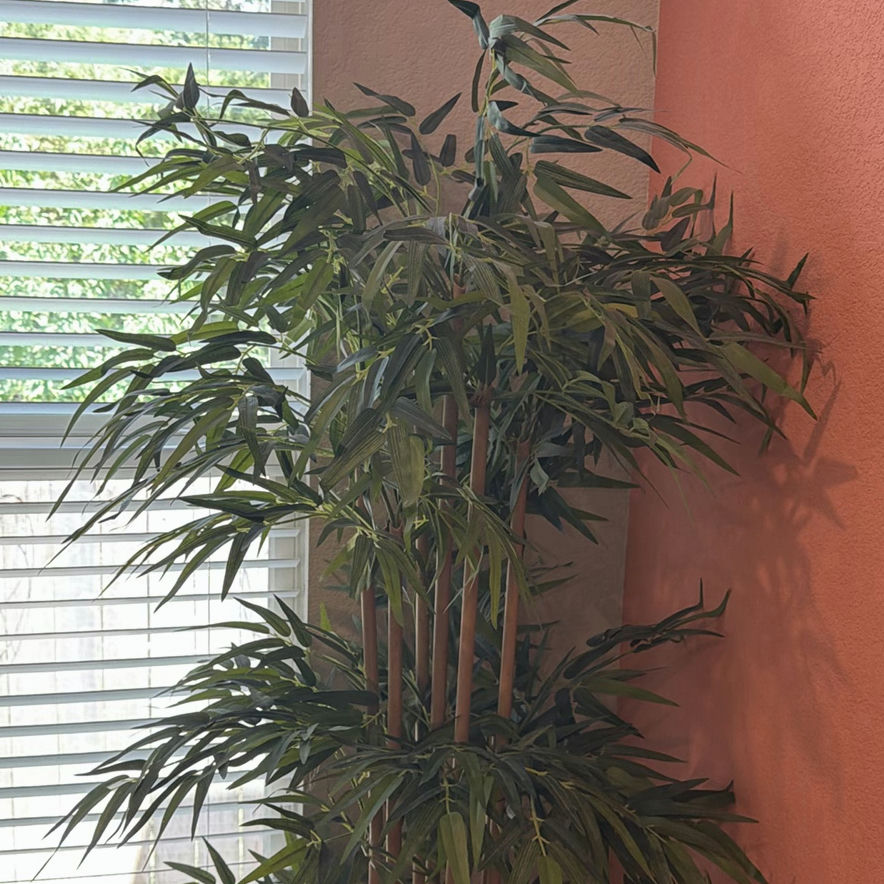 Artificial Bamboo Plant in Green Ceramic Pot - image 4 of 4