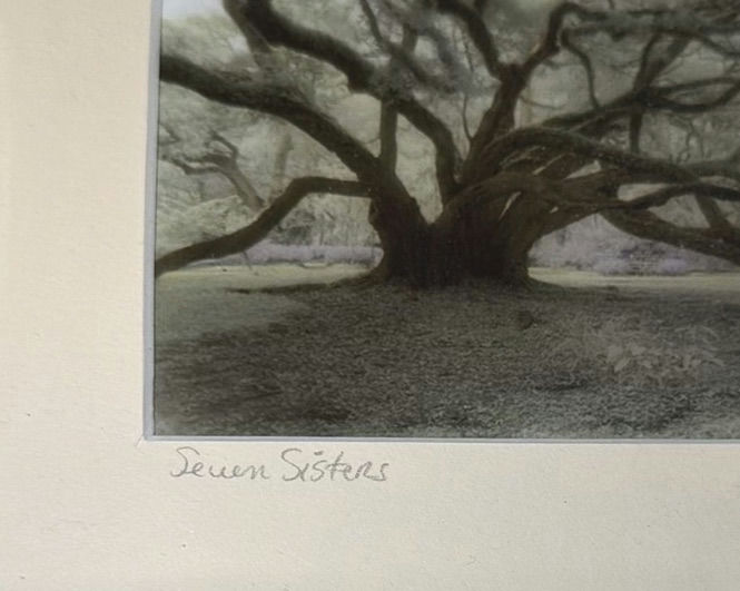 Harriet Blum Framed Fine Art Photograph and Green Glass Vase - image 3 of 6