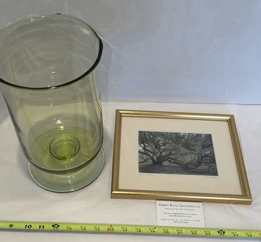 Harriet Blum Framed Fine Art Photograph and Green Glass Vase - image 1 of 6
