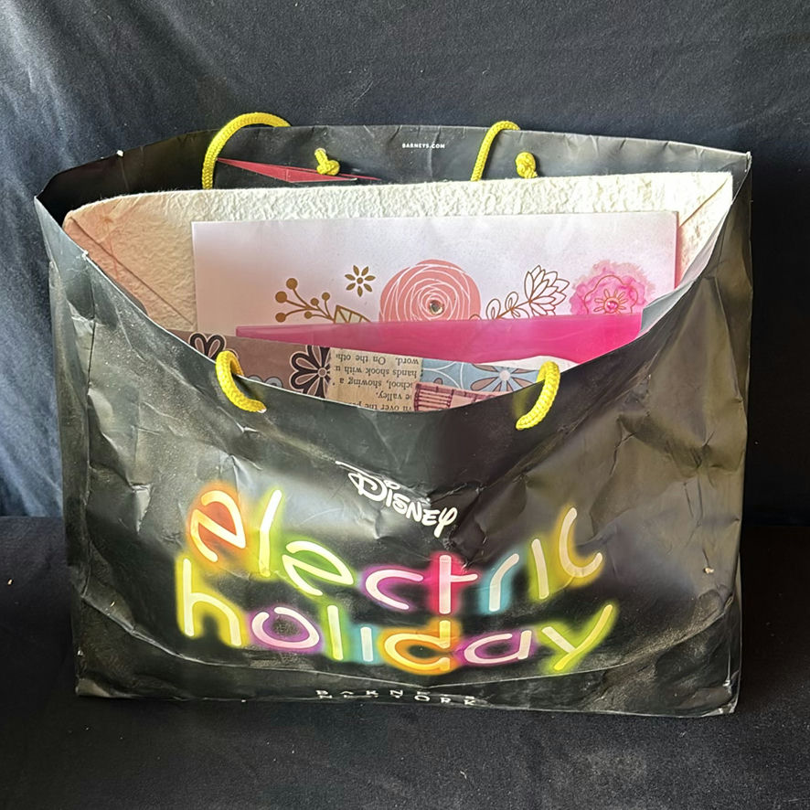 Assorted Reusable Bags - image 3 of 14