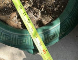 Assorted Ceramic Planters and Metal Watering Can - thumbnail 4 of 5
