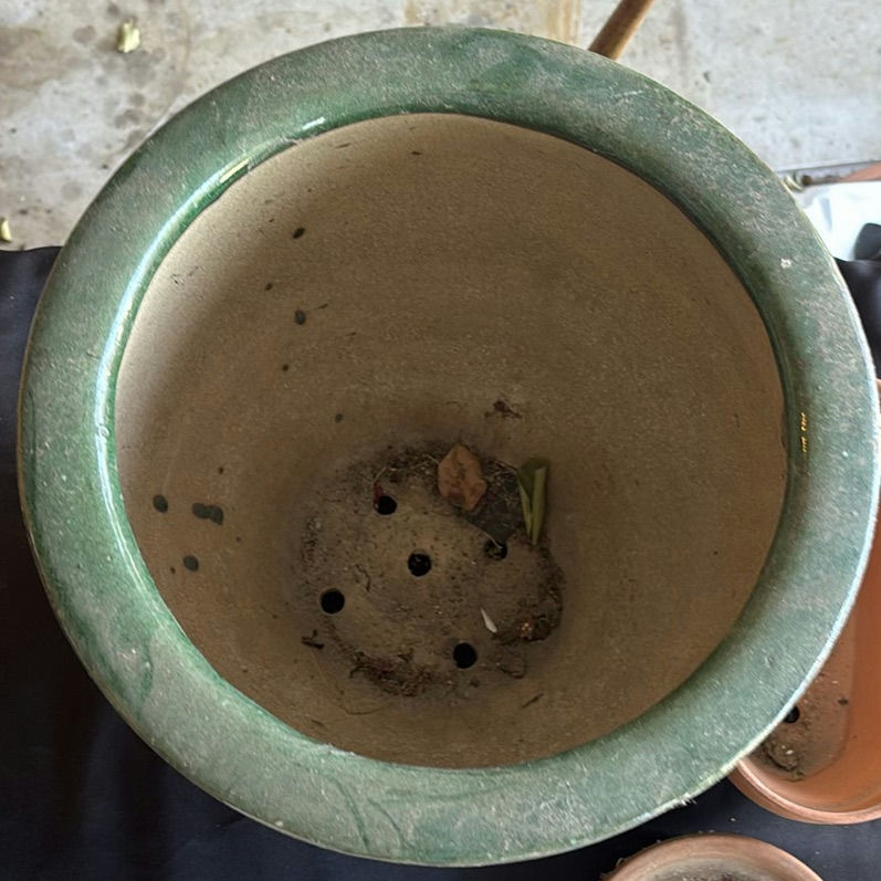 Assorted Ceramic and Terracotta Planters and Pots - image 10 of 11
