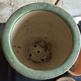Assorted Ceramic and Terracotta Planters and Pots - thumbnail 10 of 11