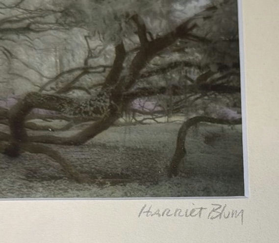 Harriet Blum Framed Fine Art Photograph and Green Glass Vase - image 4 of 6