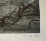 Harriet Blum Framed Fine Art Photograph and Green Glass Vase - thumbnail 4 of 6