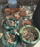 Assorted Ceramic Planters and Metal Watering Can - thumbnail 1 of 5