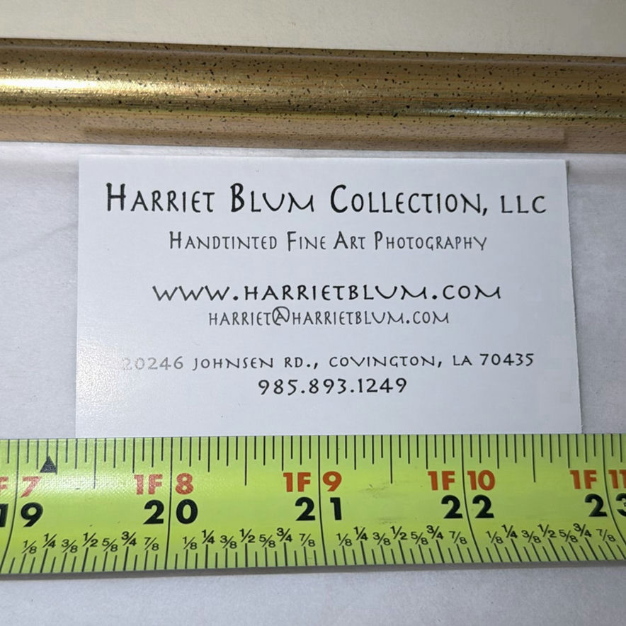 Harriet Blum Framed Fine Art Photograph and Green Glass Vase - image 5 of 6