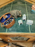 Eclectic Lot. - thumbnail 3 of 11