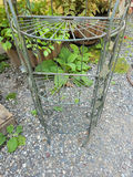 Plant Stands - thumbnail 5 of 5