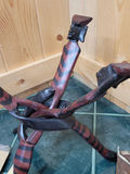 African Collection 1950's. - thumbnail 3 of 7