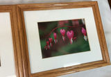 4 Framed Photos And Pencil Drawing - thumbnail 6 of 8